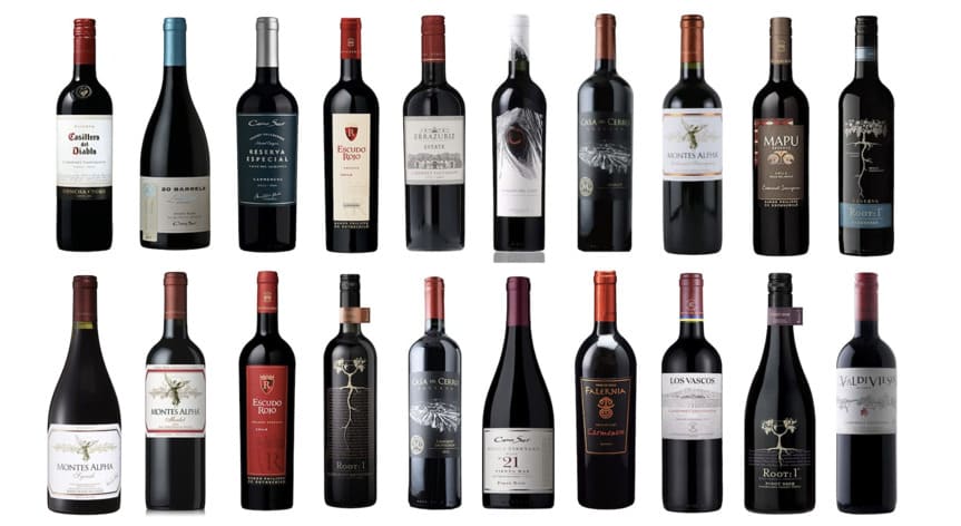 チリ産のおすすめ赤ワイン20選｜分かりやすく美味しいチリワインの選び方もご紹介